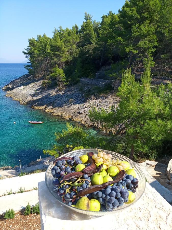 Modern Robinson Veli Bare Βίλα Vela Luka Εξωτερικό φωτογραφία