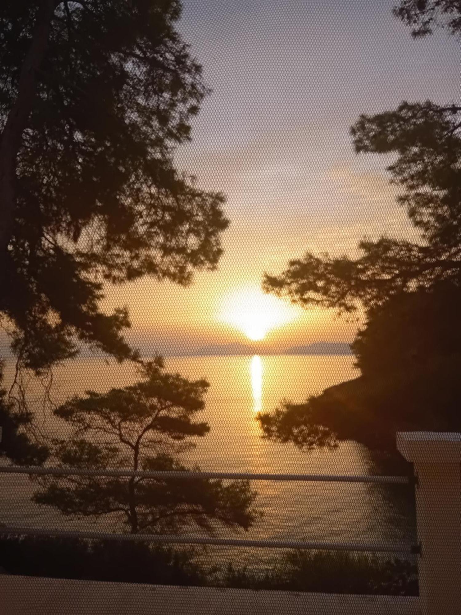 Modern Robinson Veli Bare Βίλα Vela Luka Εξωτερικό φωτογραφία