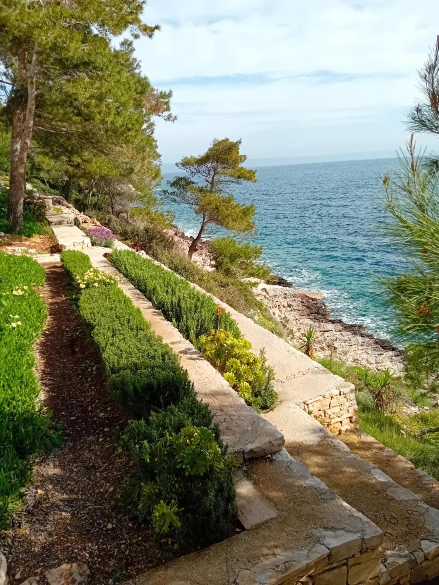 Modern Robinson Veli Bare Βίλα Vela Luka Εξωτερικό φωτογραφία