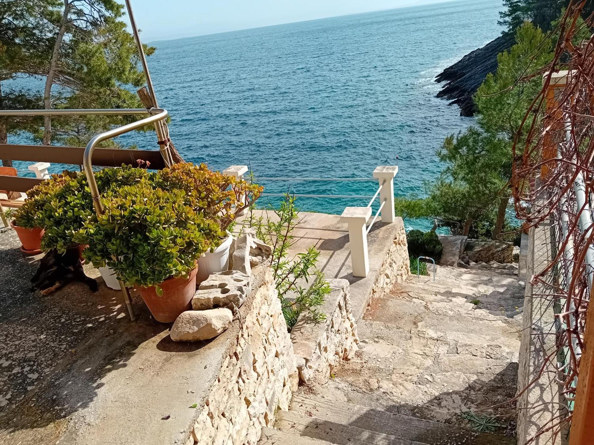 Modern Robinson Veli Bare Βίλα Vela Luka Εξωτερικό φωτογραφία