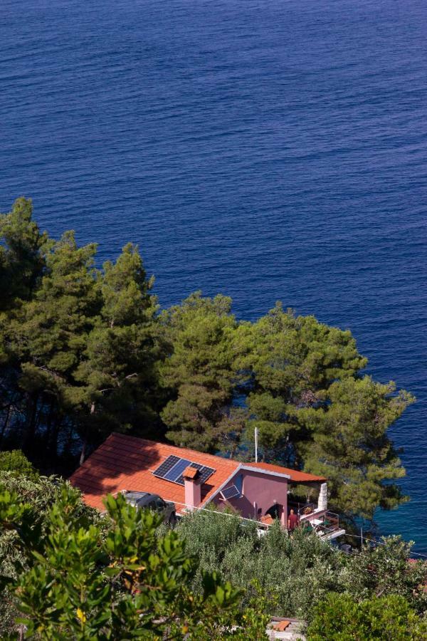 Modern Robinson Veli Bare Βίλα Vela Luka Εξωτερικό φωτογραφία